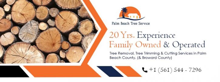 Image for Palm Beach Tree Care with ID of: 3476455