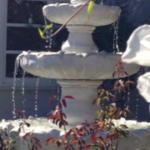 Image for Del Dios Country Gardens with ID of: 3476990