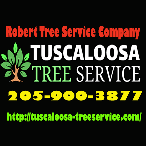 Image for Robert Tree Services with ID of: 3477057