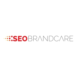 Image for seo services in vadodara - seobrandcare with ID of: 3477080