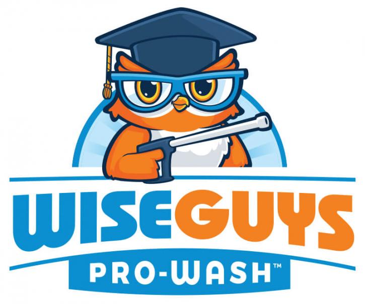 Image for WiseGuys Pro-Wash with ID of: 3477109