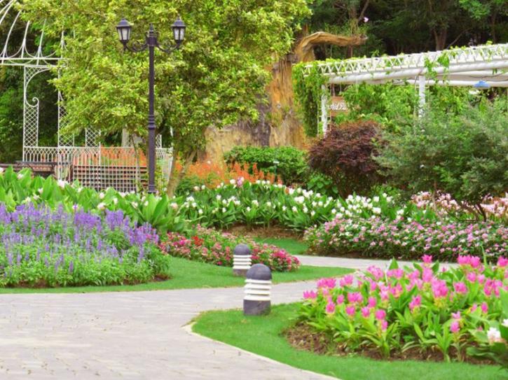 Image for Blackstone Landscaping Design with ID of: 3477787