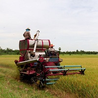 Image for HOS Hay Sales, Inc. with ID of: 3477934