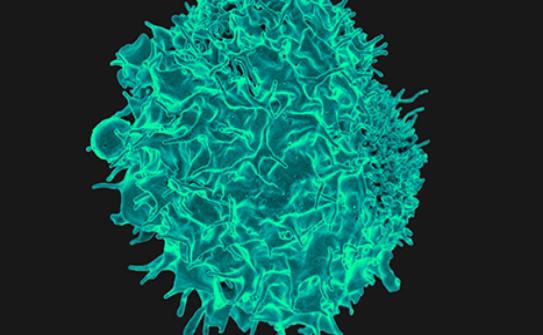Image for Solid Tumors Treatment Market Size Historical Growth Analysis To 2026 with ID of: 3478330