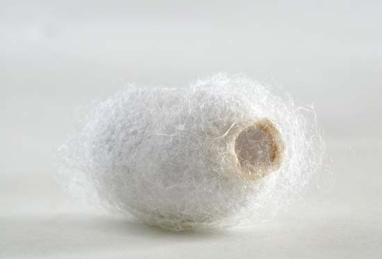 Image for Silk Market Study By Type, Application & Top Key Players - Access Laser Co., Coherent, Inc., Epilog Laser, Focuslight Technologies Inc., IPG Photonics Corp. with ID of: 3478568