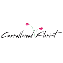 Image for Carrollwood Florist with ID of: 3478610