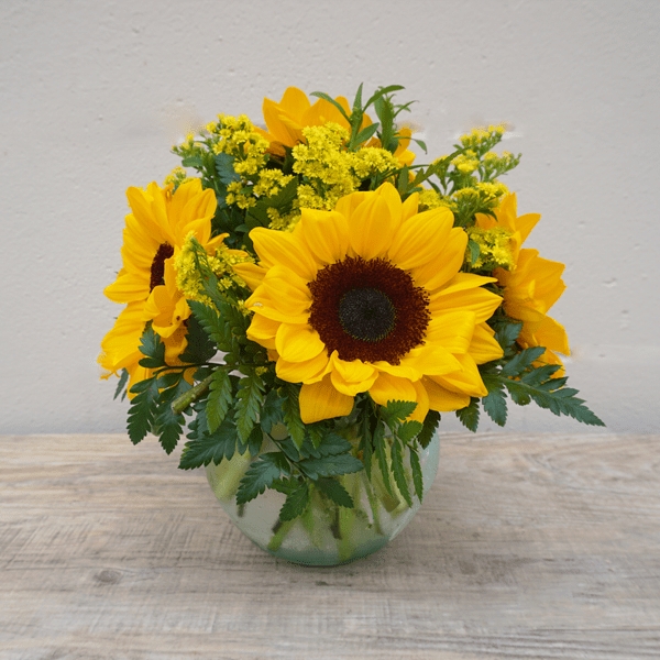 Image for Carrollwood Florist with ID of: 3478657