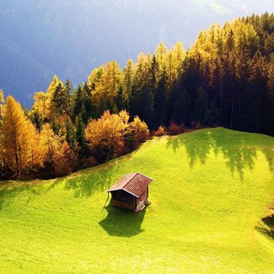 Image for A Landscaping with ID of: 3479067