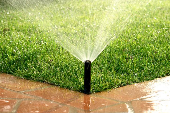 Image for Raintech Sprinkler Systems with ID of: 3479638