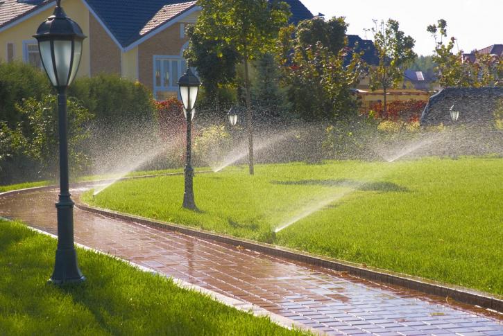 Image for Raintech Sprinkler Systems with ID of: 3479641