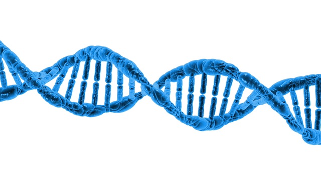 Image for Direct-to-Consumer Genetic Testing Market Will Generate New Growth Opportunities By 2025 with ID of: 3479937