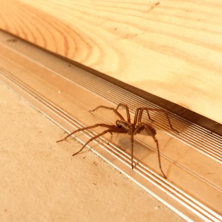 Image for New York Environmental LLC with ID of: 3480149