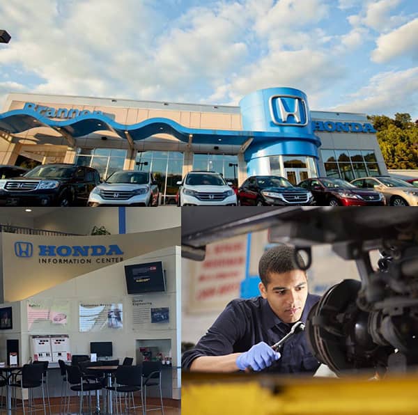 Image for Brannon Honda with ID of: 3480292