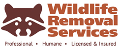 Image for Wildlife Removal Services with ID of: 3481814