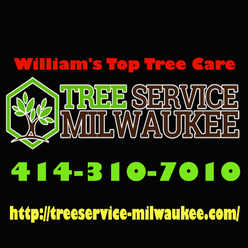 Image for William's Top Tree Care with ID of: 3481846