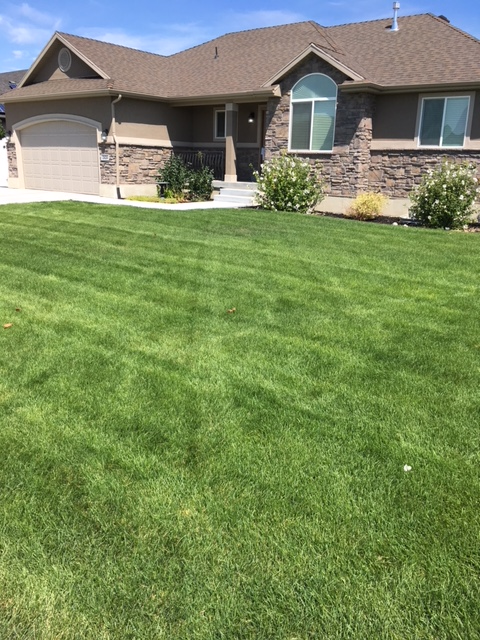 Image for Big League Lawns with ID of: 3482922