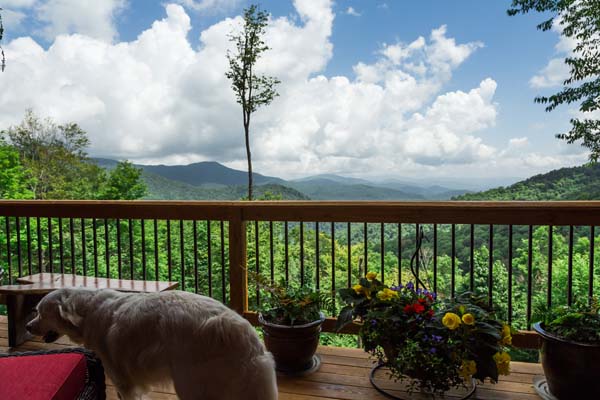 Image for The Preserve at Wolf Laurel with ID of: 3483012
