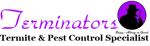 Image for Terminators Pest Control - Philadelphia with ID of: 3484047