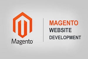 Image for A Custom BigCommerce Design Has Its Advantages with ID of: 3484723