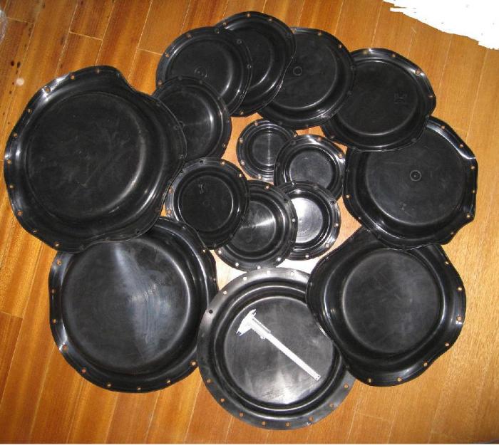 Image for idiaphragm with ID of: 3486001
