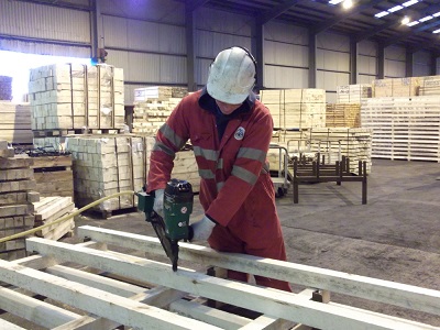 Image for Dayton Pallets, Skids, and Crates with ID of: 3486072
