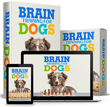 Image for Brain Training for Dogs with ID of: 3486493