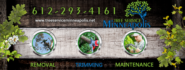 Image for Tree Service Minneapolis with ID of: 3486737