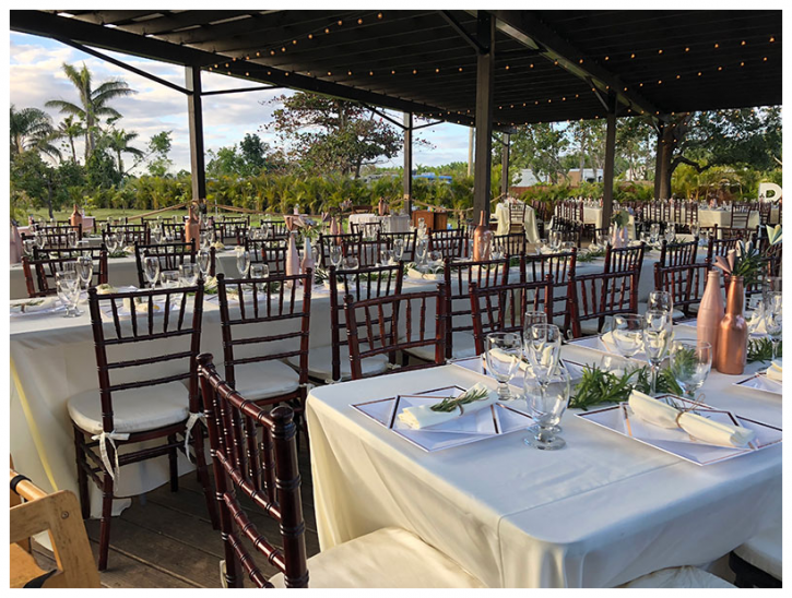 Image for Fancy Rental & Party with ID of: 3486866