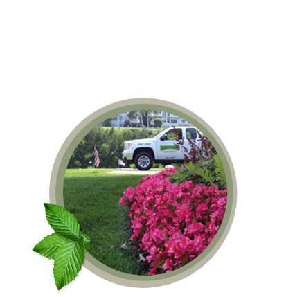 Image for Tree Service NBM with ID of: 3488604