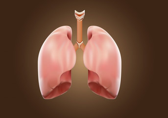 Image for Lung Only Autopsy with ID of: 3489833
