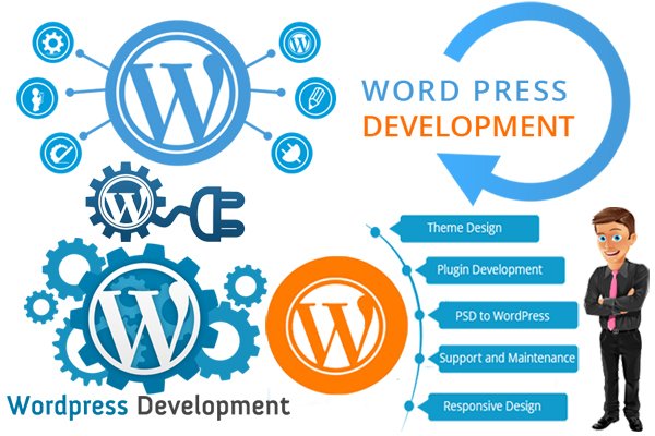 Image for Wordpress Development Los Angeles with ID of: 3489998