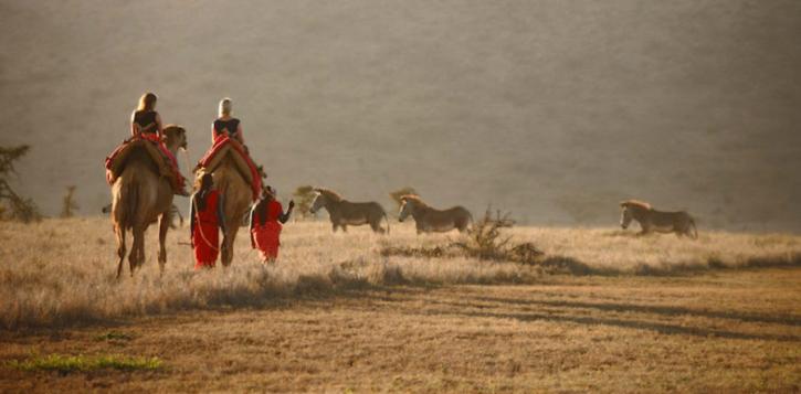 Image for Safari Tour Operators with ID of: 3490522