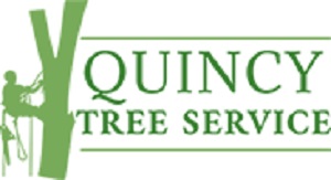 Image for Quincy Tree Service with ID of: 3491736