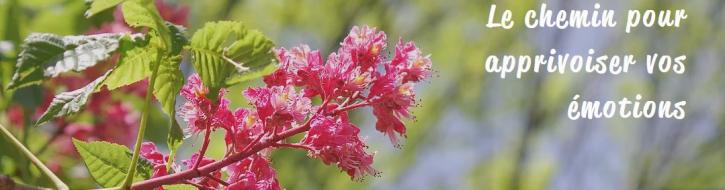 Image for Synergie Fleurs De Bach with ID of: 3491959