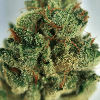Image for POT ENDSinc Dispensary with ID of: 3492196