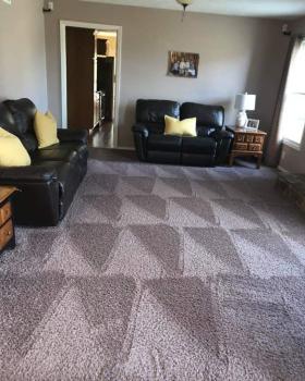 Image for Papa Bear Carpet Care with ID of: 3492369