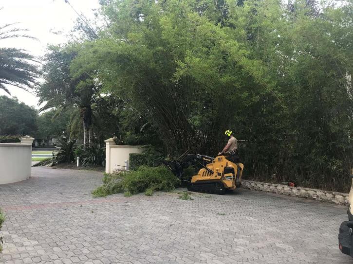 Image for Native Outdoor Maintenance with ID of: 3492629