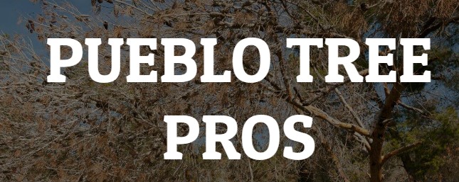 Image for Pueblo Tree Pros with ID of: 3492881