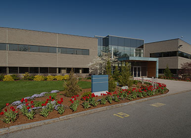 Image for AMC Nursery & Landscaping, Inc. with ID of: 3493375