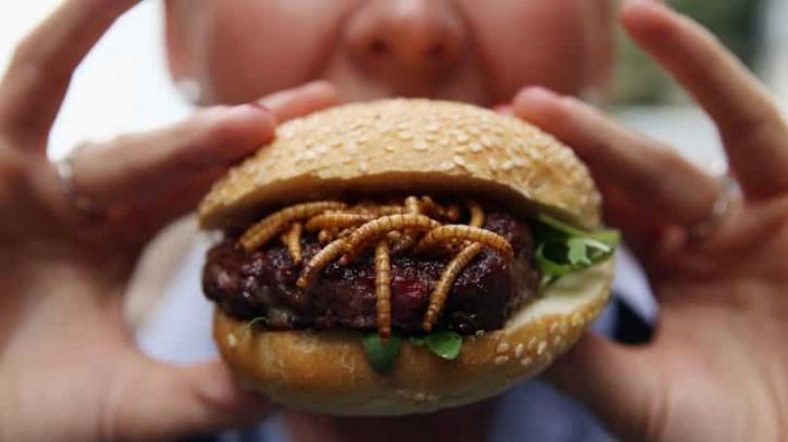 Image for Edible Insects Market Study By Types, Application & Top Key Players - Deli Bugs Ltd., Eat Grub Ltd., Entomo Farms Ltd., Entotech SAS, Enviro Flight, LLC, Exo Inc. with ID of: 3493799