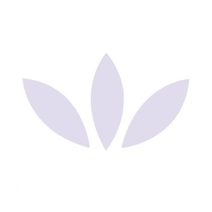 Image for Alterna Cremation with ID of: 3495026