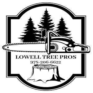 Image for Lowell Tree Pros with ID of: 3496438