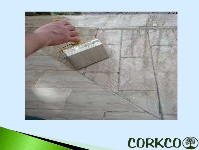 Image for Mold Killing Primer Canada with ID of: 3496860