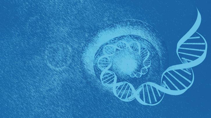 Image for Single Cell Analysis Market Professional Survey Report Trends, Growth Rate, Segment And Forecasts To 2026 with ID of: 3497329