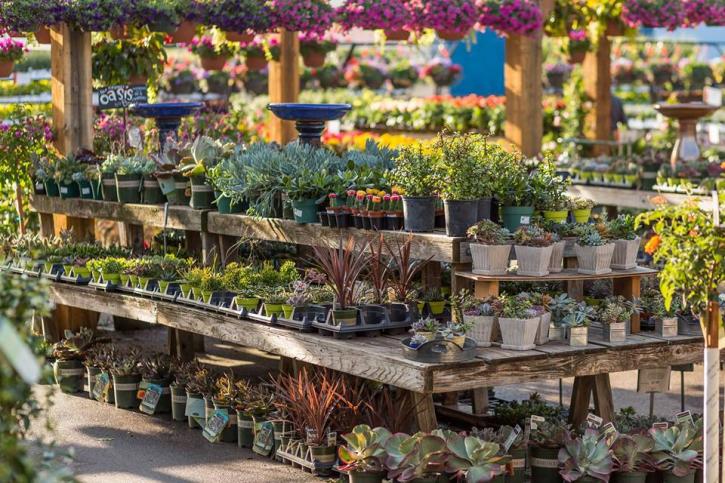 Image for Sunnyside Gardens with ID of: 3498253