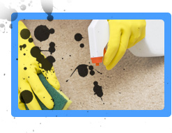 Image for Queens Carpet Cleaning Pros with ID of: 3498479