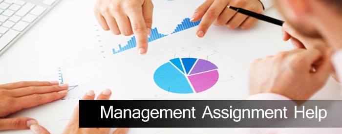 Image for Receive Top-Notch Management Assignment Help At Lowest Price with ID of: 3500355