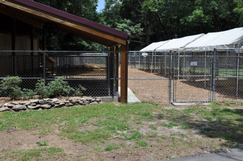 Image for Moonshadow Pet Resort with ID of: 3502287