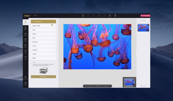Image for Free Photo Editor Apps in 2019 with ID of: 3503210