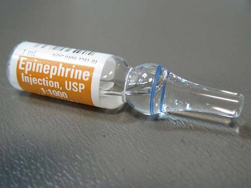 Image for Epinephrine Market Forthcoming Developments, Business Opportunities & Future Investments with ID of: 3504054